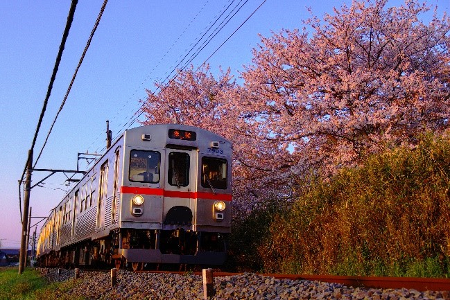 養老鉄道「TQポストカードセット」 | 鉄道ホビダス