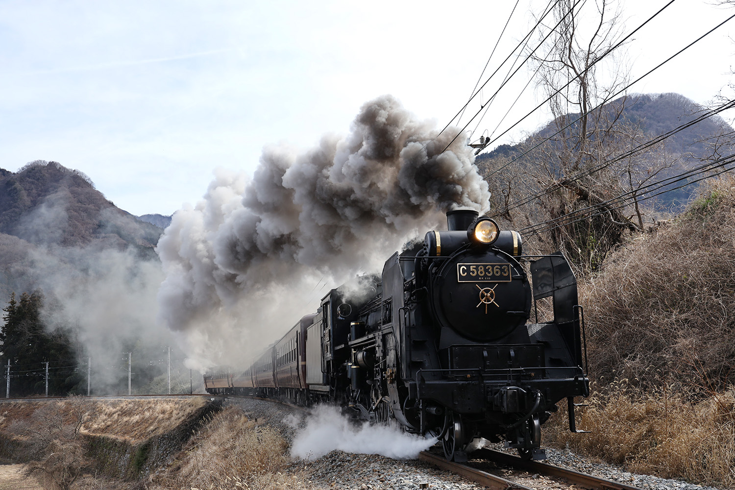 最大10％セット割SL疾走No2 秩父鉄道[パレオエクスプレス] 絵画