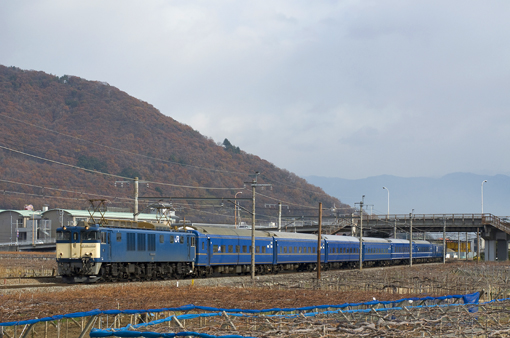 2012_12_09_sakai_kenichiro002.jpg