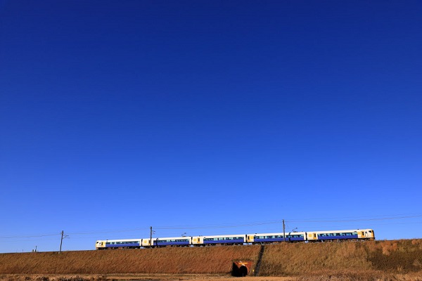 特急 しおさい 81号運転される 鉄道ホビダス