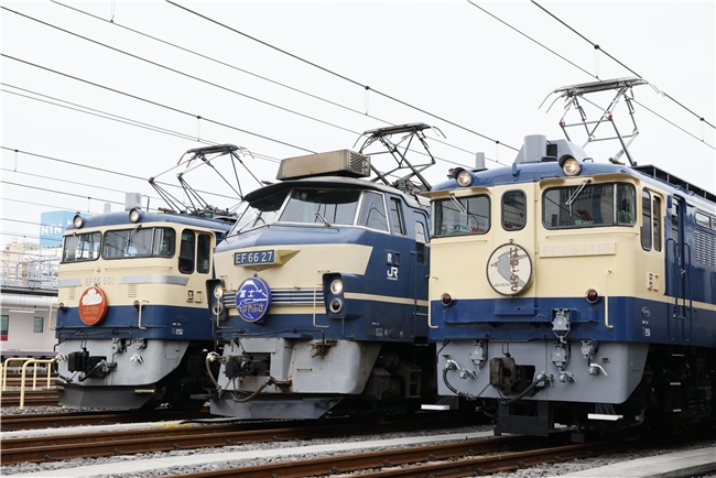 EF65 501、EF65 1115、EF66 27…伝説の国鉄型直流電機が勢揃い！ | 鉄道ホビダス