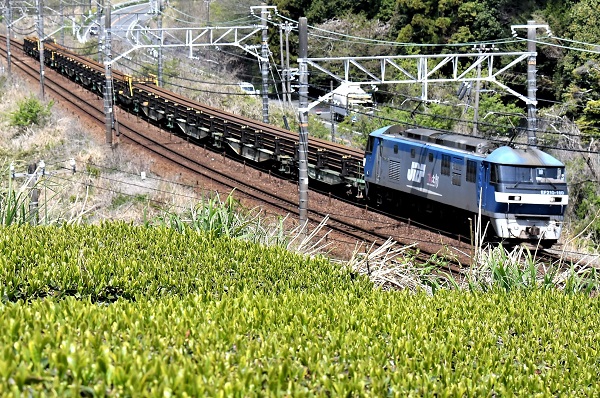 通称「日鉄チキ」、ロングレール輸送列車運転 | 鉄道ホビダス