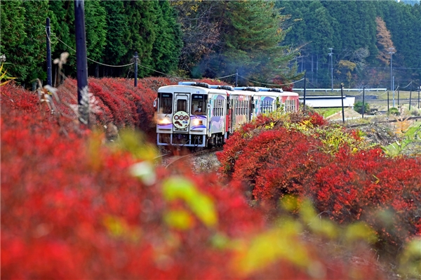 オープニング 大放出セール】 国鉄明智線 さよなら記念皿 鉄道