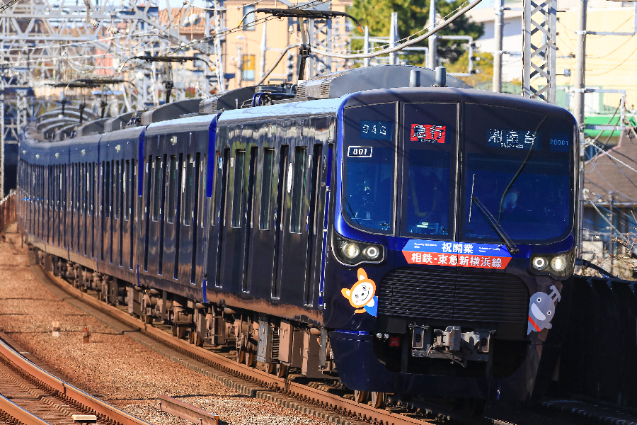 tjk-605603.jpg