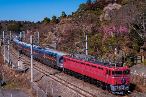 青森行きカシオペア紀行をローズピンクのEF81が牽引 | 鉄道ホビダス