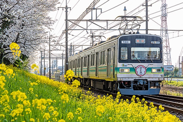 【桜シーズンに合わせて】秩父鉄道、「さくら号」ヘッドマークの掲出を発表