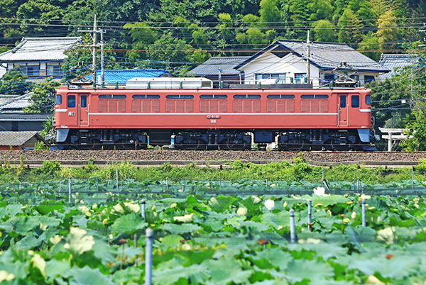 空穂　江戸初期 空穂 江戸初期 空穂 江戸初期 One Hundred Famous Views of Edo