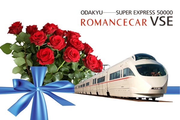 【VSE500001編成引退記念】最後の雄姿を満喫できる！お別れ見学会＆深夜撮影会 特別2ツアー開催