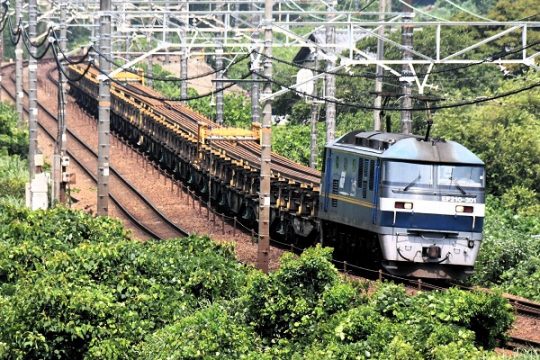 JR貨物 スタフ 新幹線甲種輸送(おまけ付き) JR貨物 | 鉄道ホビダス