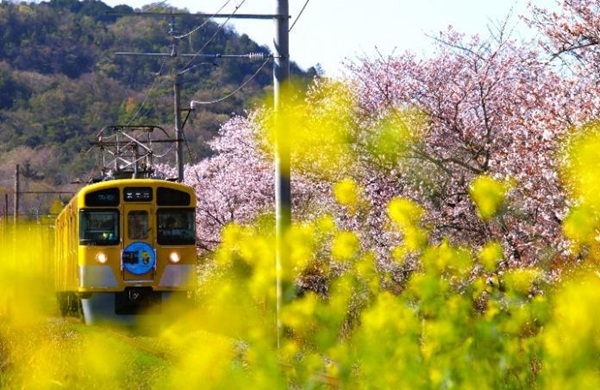 ファンが見つけた“推しの近江鉄道”がカレンダーに!「近江鉄道カレンダー2027」フォトコンテスト入賞作品決定!