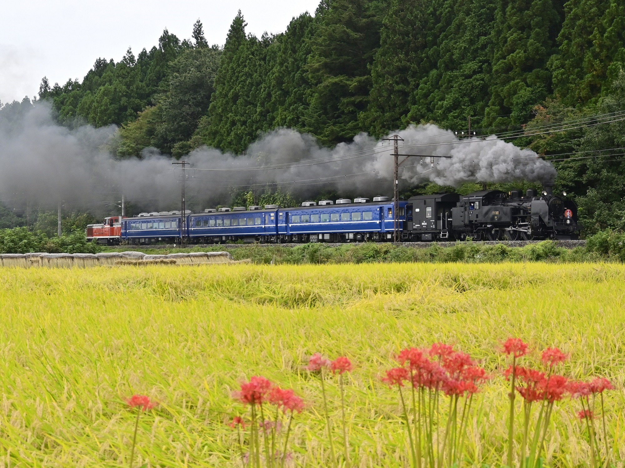 s-_DSC2248_3.jpg